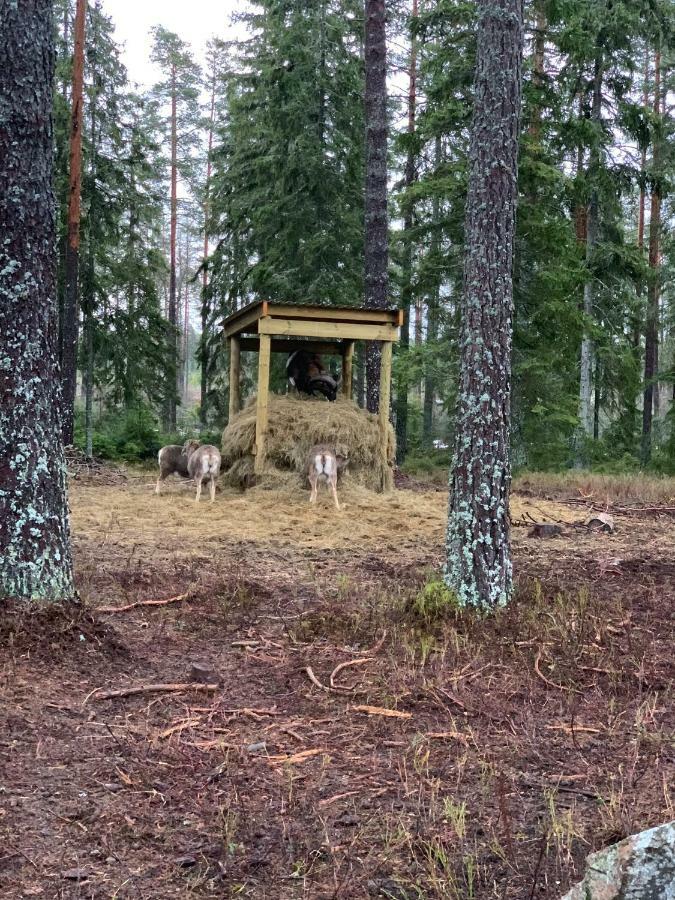 Cozy House In Kosta Center Surrounding With Swedish Nature ภายนอก รูปภาพ